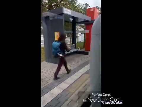 Nürnberg Regional bahn Linie RB21 von Gräfenberg nach Nürnberg Nordost. am Mittwoch 25.09.2024.