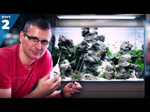 Finishing the BRIGHTEST Aquarium in our Gallery | Part 2: Planting