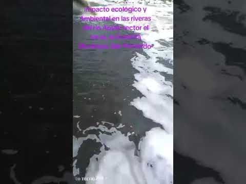Contaminación y degradación en las márgenes del río apure municipio San Fernando 🌱🌊