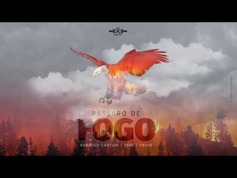 RODRIGO CARTIER PART. 3030 & FROID - PÁSSARO DE FOGO 🦅 (PROD. LK)