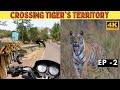 Bandhavgarh National Park 4k Bandhavgarh Tiger Reserve के सबसे ताकतवर Tiger 