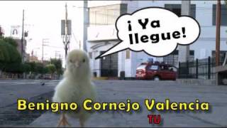 preview picture of video 'El video mas visto - Benigno Cornejo Valencia - El POLLITO GOLEADOR'