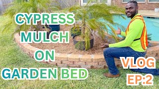 Cypress Mulch on Garden Bed | Vlog Ep:2