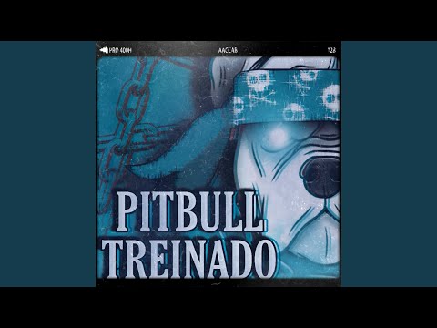 Pitbull Treinado