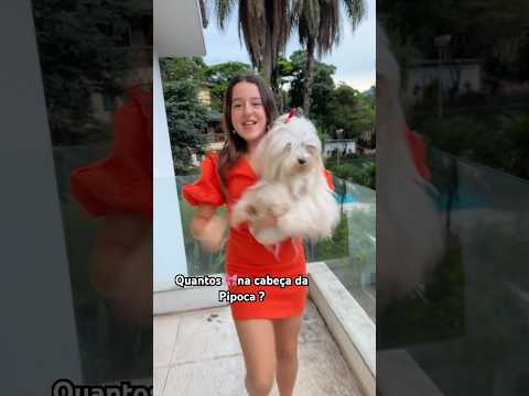 TUBARÃO TE AMO KIDS #shortsviral