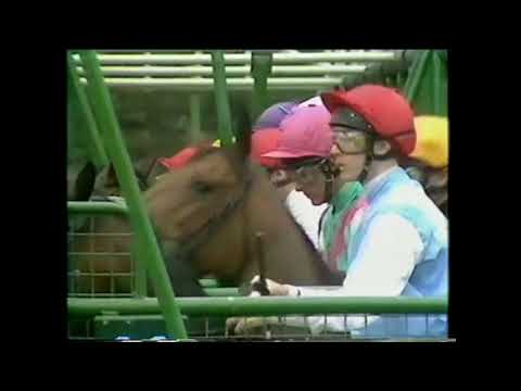 1988 Cork and Orrery Stakes Royal Ascot