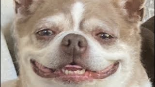 Short Supply Zihuatanejo Tracy Chapman  Earth Day