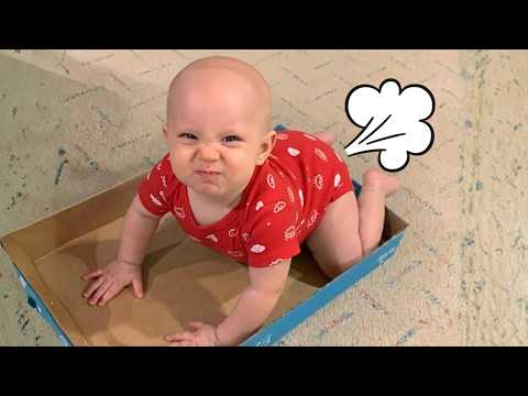Hilarious Babies Fart Moments You Can't Miss! 😆Try Not To Laugh