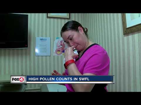 High pollen counts in Southwest Florida