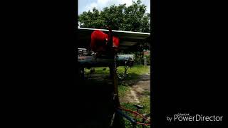 Download lagu Nuri merah / red lory mp3