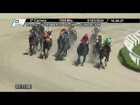 240301 c03 - GREEN SOLDIER (BRZ) - HIPODROMO LAS PIEDRAS
