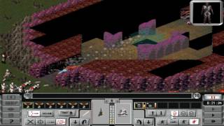 Ep21 Knock Knock ufo recovery 1