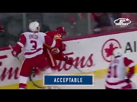 Declaration of Safety, Fair Play & Respect: An Efficient Body-Check