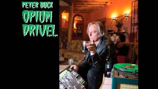Peter Buck - If This Is Love Can I Have My Money Back?
