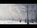 Diary of Dreams - Winter Souls