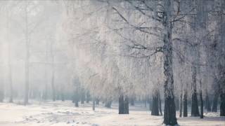 Diary of Dreams - Winter Souls