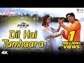Dil Hai Tumhaara Jhankar Dil Hai Tumhaara Alka Kumar Udit Preity Arjun Jimmy