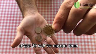 עץ הכסף 2019