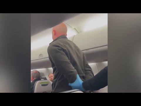 'Shroom pilot' faces federal judge for sentencing