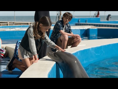 Bernie The Dolphin (2019) Official Trailer (HD)