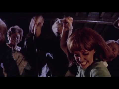 afbeelding Brotherhood of Satan, The