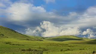 صورة الدولة الأموية ( سنة 66 -أ- )