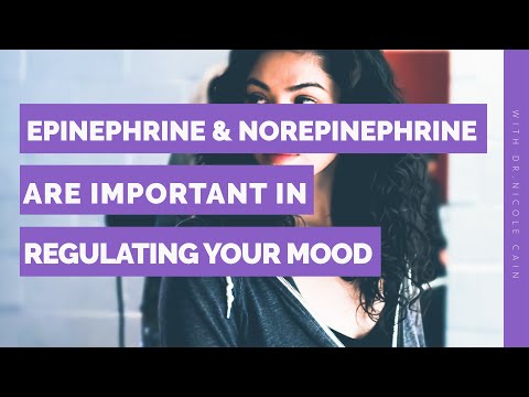 Epinephrine and norepinephrine (also called adrenaline) are important in regulating your mood