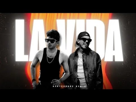 LA VIDA REMIX🥵|Vedan x Dabzee |KSHMR |V SANG