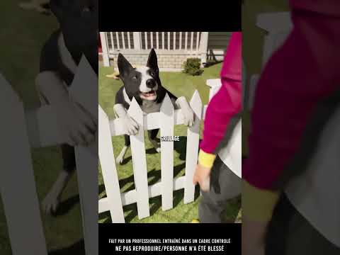 🫡 Maintenant tout le quartier joue avec lui…