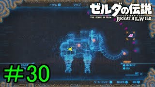 【実況】見落としが多い勇者の冒険part30【ブレスオブザワイルド】