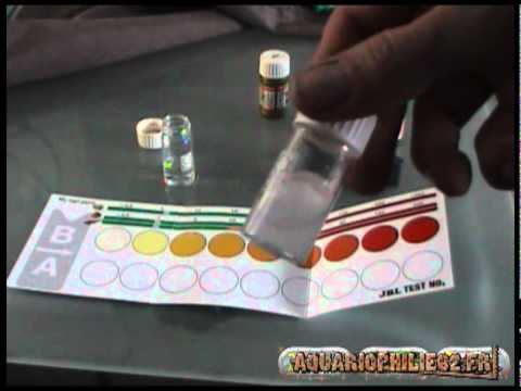 comment augmenter kh aquarium