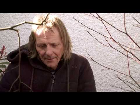 RTÉ Super Garden Episode 4: Take a Sneak Peek at Fran Byrne's garden design!