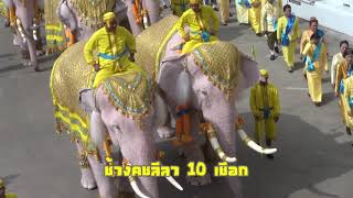 คชสารคู่แผ่นดินเทิดไท้องค์ราชันต์
