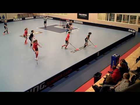 170122 Damer Div.1 Lindås IBK - Guldhedens IK (10-1) HD Per1