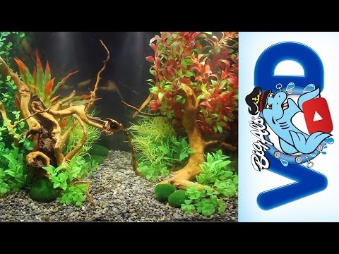 How to use Fake Aquarium Plants to Create Stunning Natural Aquascapes | Big Al's