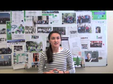 Photo-induced physical and chemical transformations in the solid state