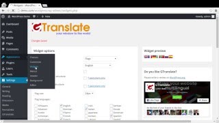 Translate WordPress with GTranslate Plugin Review