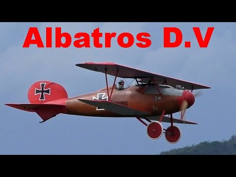 Albatros D.V, giant scale RC biplane, Nesvacily 2020