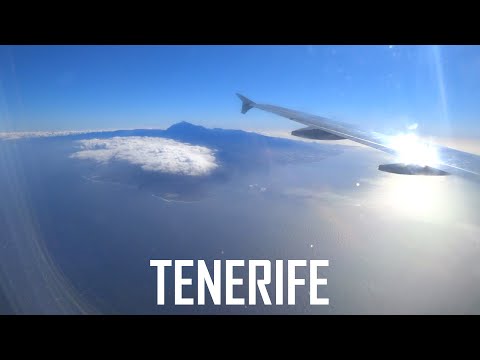 Best of ASOT1124 | Perry O’Neil – Wave Force, Hal Stucker – Coral AND MORE