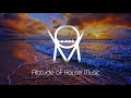 House Victimz - The Fourth Note (DJExpo SA Idiosyncratic Mix)