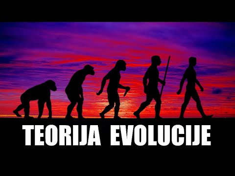 Teorija evolucije - Kako prirodna selekcija utiče na stvaranje novih vrsta života
