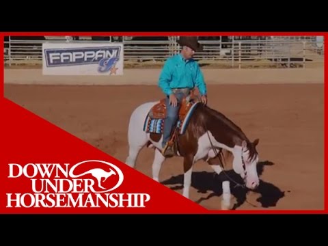 Clinton Anderson Presents: Titan a Legend in the Making, Lesson 11, Part 2 - Downunder Horsemanship