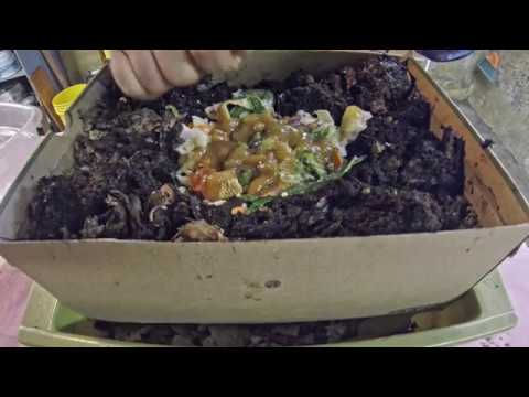 Check-in and feeding 3 of my 5 vermicomosting worm bins