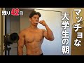 筋肉を大きくしたい大学生のモーニングルーティーン【大会まで42日】