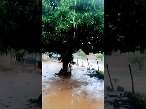 domingo mojado #lluvia #cordillera #emboscada