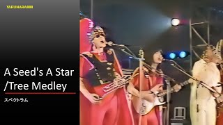 Tp195　A Seed's A Star/Tree Medley　スペクトラム