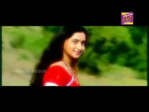 lakhe sravan re bhiji mu paichi