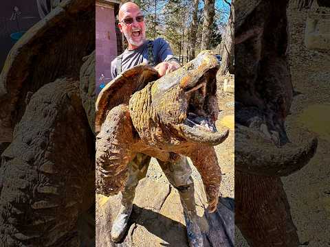 Taking a Picture With A Giant Alligator Snapping Turtle!
