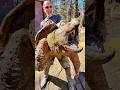 Taking a Picture With A Giant Alligator Snapping Turtle!