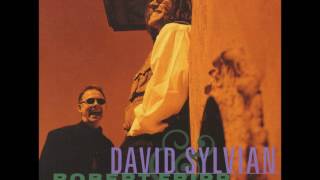 David Sylvian / The First Day